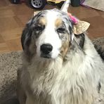 Kaleb Hart - Facebook