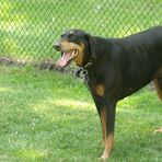 Kaleb Hebert - Facebook