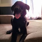Kaleb Hebert - Facebook