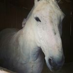 kaleb henderson - @kaleb8307 - Instagram