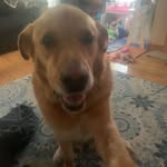 Kaleb Henderson - @bob_brond - Instagram