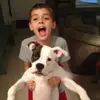 kaleb - @kalebshenderson - TikTok