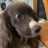 Kaleb - @kalebhesson - TikTok