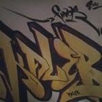 Kaleb Hobson - @turtleviking420 - Instagram