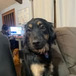 Kaleb Hoffman - @kalebhoffman5 - Instagram