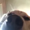 Kalebholden - @kalebholden0 - TikTok