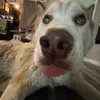 kalebholdennthefirst - @kalebh5 - TikTok