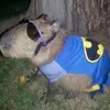 kalebholder_23 - @kalebholder_26 - TikTok