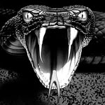 Kaleb Holton - @thepythonx - Instagram