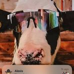 Kaleb Horton - Facebook