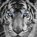 Kalebhorton - @kalebhorton1998 - Instagram