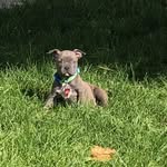 Kaleb huber - @kaleb_huber - Instagram