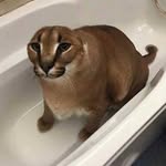 Kaleb Hudson - @kalebhudson05 - Instagram