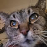 Kaleb Huffman - @kaleb_21_royals - Instagram