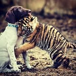 @kaleb.irwin - Instagram