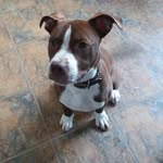 Kaleb James - @x_kaleb - Instagram