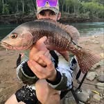 Kaleb James Garnaut - @kgarnaut158 - Instagram