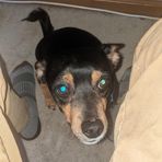 Kaleb Joseph - Facebook