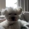 Caleb Kern - @caleb.kern - TikTok