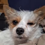 Kaleb Key - @wienerjuice69 - Instagram