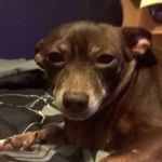 Kaleb Key - @kalebkey2016 - Instagram