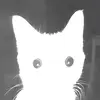 Kaleb Keys - @kaleb.keys7 - TikTok