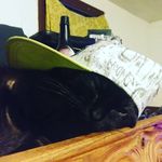 Kaleb klein - @kleinmatthew598 - Instagram