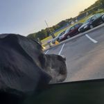 Kaleb Knapp - @k_knappers2017 - Instagram