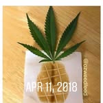 Caleb Koons - @goggles2002 - Instagram