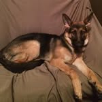 Caleb Krause - @s_w_j_krause - Instagram