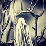 Caleb Krause - @calebkrausecreates - Instagram