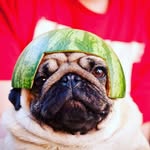 Caleb Krause - @watermelon_king109 - Instagram