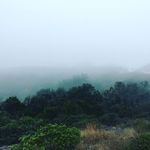 Kaleb Krause - @kaleb.krause - Instagram