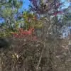 Kaleb Lamb - @kaleb.lamb7 - TikTok