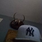 Kaleb Lang - Facebook