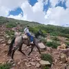 Kaleb Larson - @kaleb.larson - TikTok