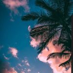 Kaleb Leon - @kalebleon8 - Instagram