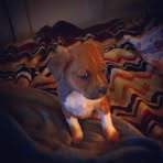 Kaleb Linn - Facebook