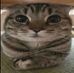 Kaleb Lopez - Facebook