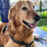 Kaleb Luna Romero - @kaleb_luna_ - Instagram