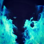 kaleb macdonald - @kalebmacdonald4 - Instagram