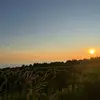 Kaleb MacDonald - @kaleb.macdonald - TikTok