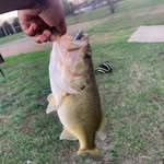 kalebmanuel - @kalebmanuel135 - Instagram