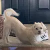 kalebmarquez702 - @kalebq_marquez - TikTok
