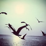 Kaleb Marshall - @kalebmarshall22 - Instagram