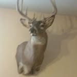 Kalebmarshall - @kalebmarshall2951 - Instagram