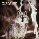Kaleb Martin - @martin.kaleb - Instagram