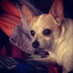 kaleb_martinez - @kaleb__martinez - Instagram