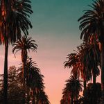 Kaleb Mathews - @kaleb_brandon_mathews - Instagram