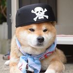 @nathan.edwards17 - @kalebmatthews._06 - Instagram